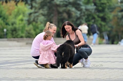 Выпускники питомника в ваших домах — фото 29